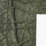 TX-COA-SOLIS: GeoChange 1970-2012-10 Preview 2