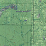FL-MIDDLEBURG SW: GeoChange 1946-2010 Preview 2