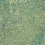 FL-SOPCHOPPY: GeoChange 1970-2010 Preview 2