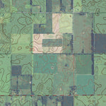 FL-DOWLING PARK: GeoChange 1951-2010 Preview 2