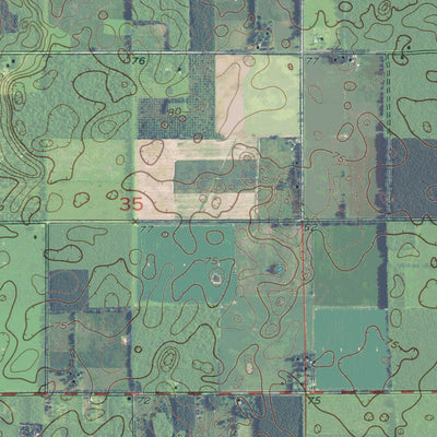 FL-DOWLING PARK: GeoChange 1951-2010 Preview 2