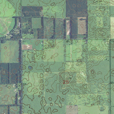 FL-DOWLING PARK: GeoChange 1951-2010 Preview 3