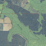 FL-WAUKEENAH: GeoChange 1951-2010 Preview 2