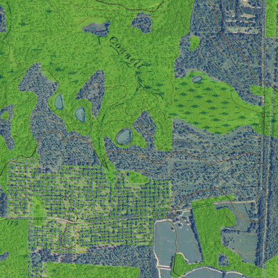 GA-FL-MONTICELLO NE: GeoChange 1954-2010 Preview 3