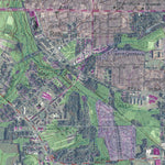 GA-VALDOSTA: GeoChange 1957-2010 Preview 3