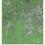 FL-SYCAMORE: GeoChange 1947-2010 Preview 1