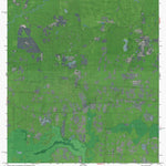 GA-FL-BEACHTON: GeoChange 1952-2010 Preview 1