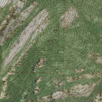 CA-TAMARACK FLAT: GeoChange 1984-2014 Preview 3