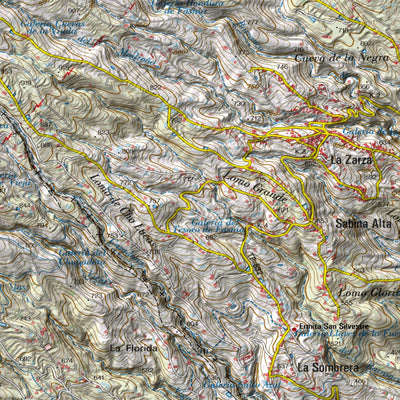 Tenerife 1:25k (South East) Preview 3