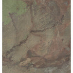 AZ-Cedar Lake Wash: GeoChange 1972-2010 Preview 1