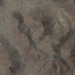 AZ-San Simon: GeoChange 1981-2010 Preview 3