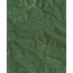 WA-Siouxon Peak: GeoChange 1982-2011 Preview 1