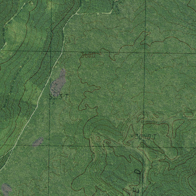 WA-Gifford Peak: GeoChange 1976-2011 Preview 3