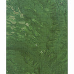 OR-Wildcat Mtn: GeoChange 1982-2012 Preview 1