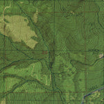 WA-Cougar: GeoChange 1980-2011 Preview 2
