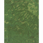 WA-East Of Raymond: GeoChange 1983-2011 Preview 1