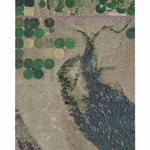 WA-Mae: GeoChange 1954-2011 Preview 1