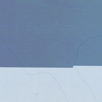 FL-Grayton Beach: GeoChange 1969-2010 Preview 2