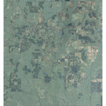 FL-AL-Laurel Hill: GeoChange 1973-2010 Preview 1