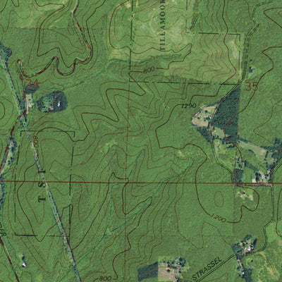 OR-Timber: GeoChange 1973-2012 Preview 3