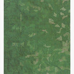 OR-Stott Mountain: GeoChange 1976-2012 Preview 1