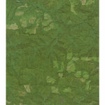 OR-Rogers Peak: GeoChange 1980-2012 Preview 1