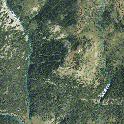 MT Aerial View I9 Preview 3