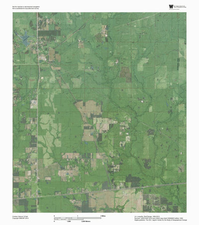 LA-Longville: GeoChange 1994-2010 Preview 1