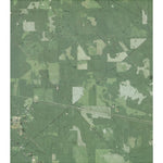 TX-Bragg: GeoChange 1976-2012 Preview 1