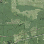 TX-Kountze SW: GeoChange 1976-2012 Preview 3