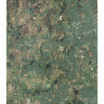 TX-Hicks: GeoChange 1960-2012 Preview 1