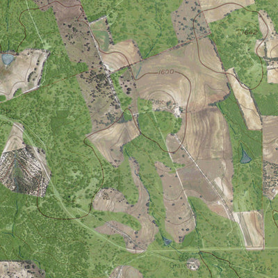 TX-Rocky Creek: GeoChange 1958-2012 Preview 2