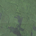 NY-Florence: GeoChange 1942-2011 Preview 2