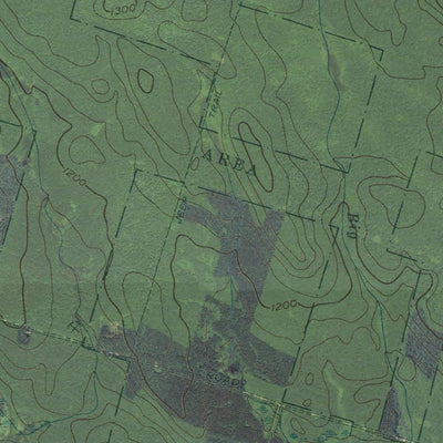 NY-Florence: GeoChange 1942-2011 Preview 2