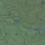 NY-Florence: GeoChange 1942-2011 Preview 3