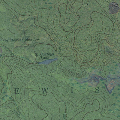 NY-Florence: GeoChange 1942-2011 Preview 3