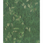 OR-Tioga: GeoChange 1984-2012 Preview 1