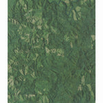 OR-Coos Mountain: GeoChange 1984-2012 Preview 1