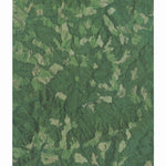 OR-Ivers Peak: GeoChange 1984-2012 Preview 1