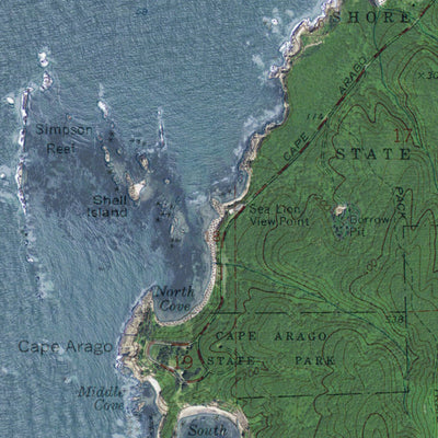 OR-Cape Arago: GeoChange 1970-2012 Preview 3