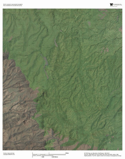 AZ-NM Big Lue Mountains: GeoChange 1984-2010 Preview 1