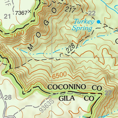Tonto National Forest Quadrangle: PINE Preview 3
