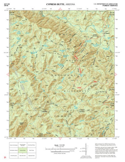 Tonto National Forest Quadrangle: CYPRESS BUTTE Preview 1