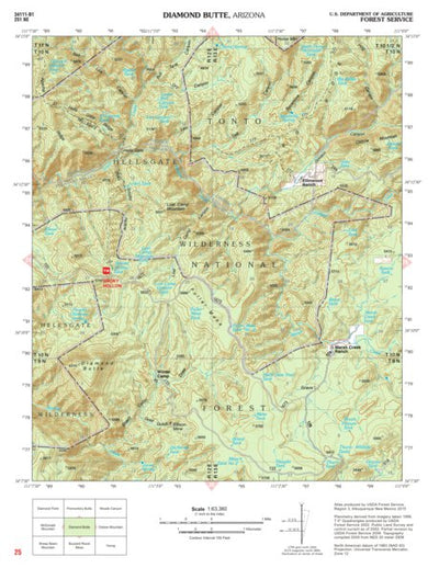 Tonto National Forest Quadrangle: DIAMOND BUTTE Preview 1
