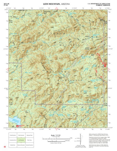 Tonto National Forest Quadrangle: LION MOUNTAIN Preview 1