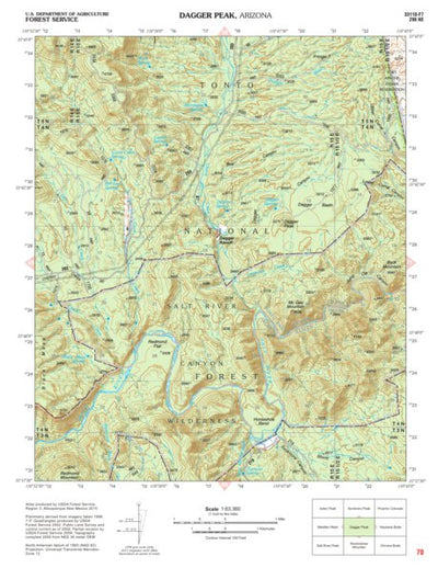 Tonto National Forest Quadrangle: DAGGER PEAK Preview 1