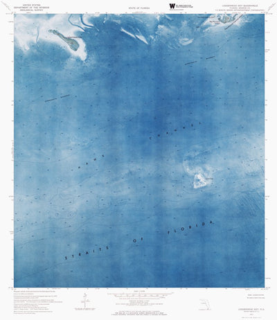 FL-LOGGERHEAD KEY: ORTHOPHOTOMAP 1972 Preview 1