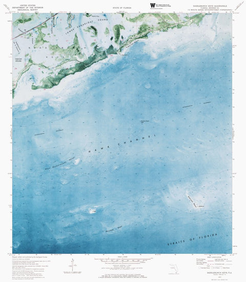 FL-SADDLEBUNCH KEYS: ORTHOPHOTOMAP 1972 Preview 1