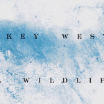 FL-COTTRELL KEY: ORTHOPHOTOMAP 1972 Preview 2