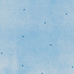 FL-BAMBOO KEY: ORTHOPHOTOMAP 1972 Preview 2